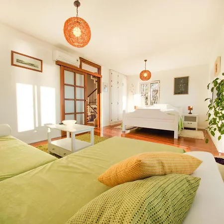 Tatil Evi Dado Bast